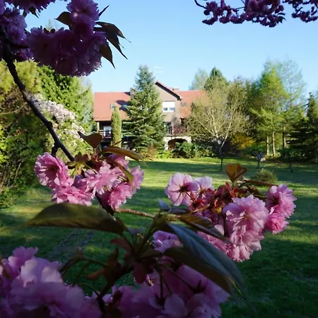 & Sauna Prázdninový dům